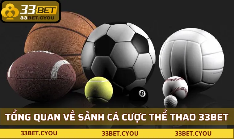 Vài nét về sân chơi thể thao 33BET